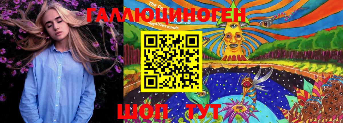 Галлюциногенные грибы Psilocybine cubensis  Вход с VPN  Луховицы 